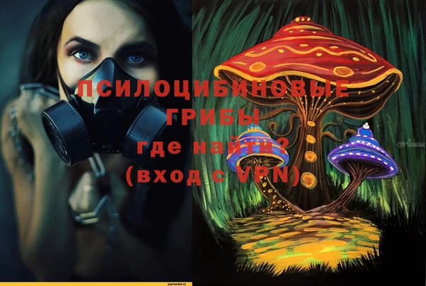 apvp Алексеевка