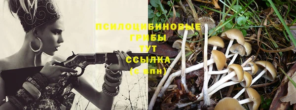 apvp Алексеевка