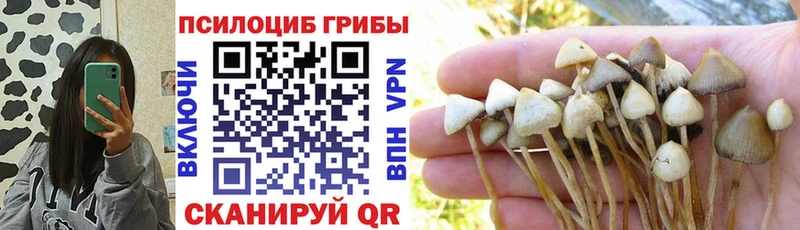 Галлюциногенные грибы MAGIC MUSHROOMS  Завитинск 